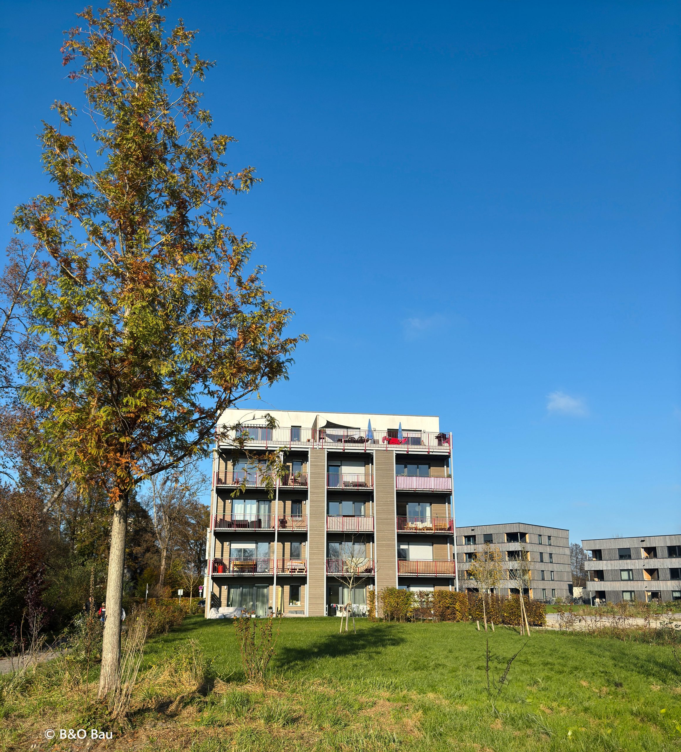 Fachveranstaltungen und Tagungen (2)